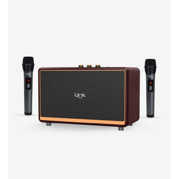 M408 Premium Mikrofonlu 100W Retro Bluetooth Hoparlör | LinkTech